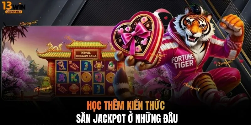 Học thêm kiến thức săn jackpot ở những đâu?